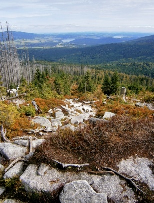 Plechý a Plešné jezero