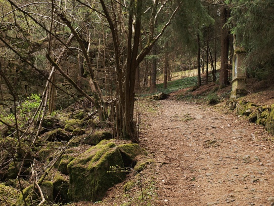 Křížová cesta nad Vyšším Brodem