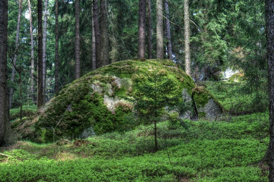 Kámen na Skalce