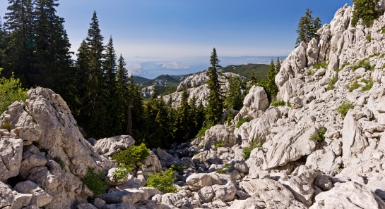 Kamenné pole pod vrcholem Balinovac