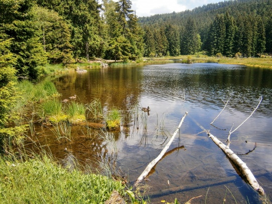 Velký Javor, Malý Javor a Javorská jezera