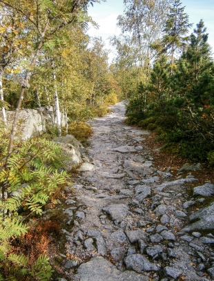 Plechý a Plešné jezero