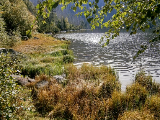 Plešné jezero