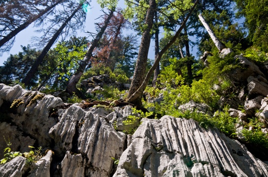 Národní park Risnjak