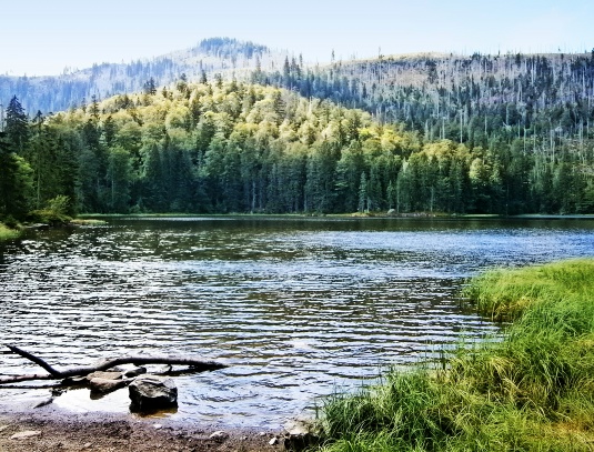 Roklanské jezero