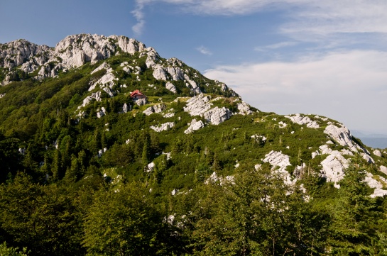 Vrchol Risnjaku v odpoledním slunci