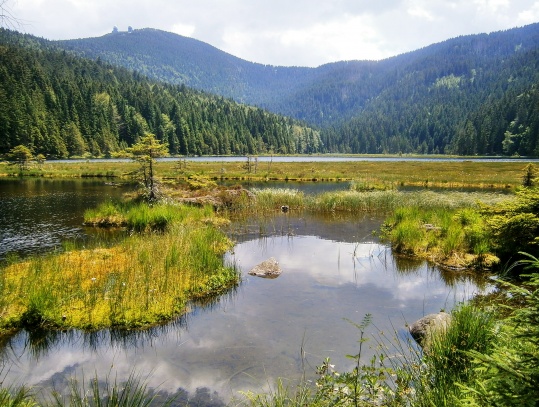 Malé javorské jezero - Kleiner Arbersee