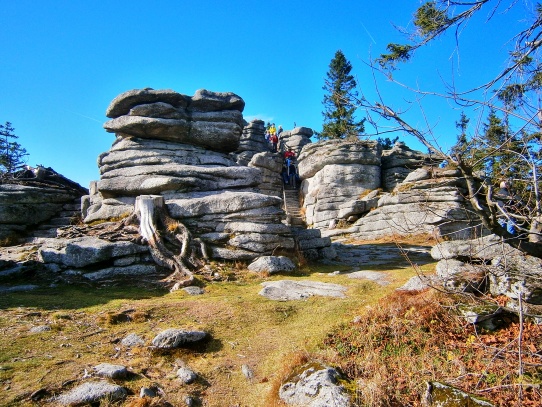 Třístoličník