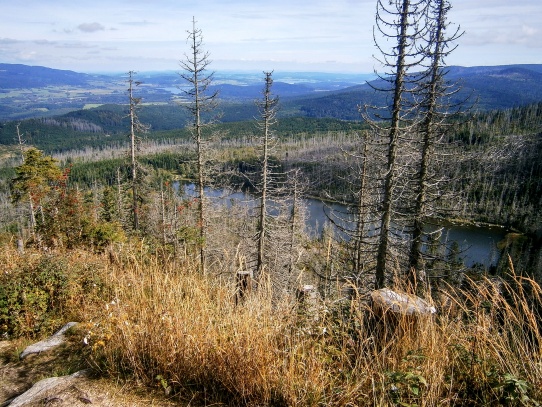 Plechý a Plešné jezero