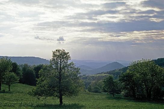 Lužické hory III