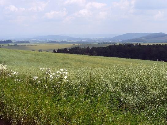 Panoráma