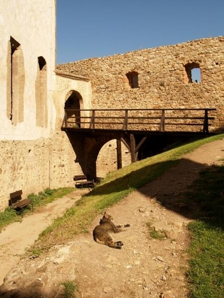 Točník, lávka do purkrabského paláce