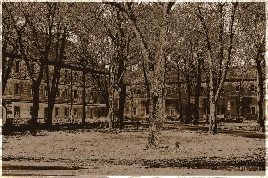 Osamělý park