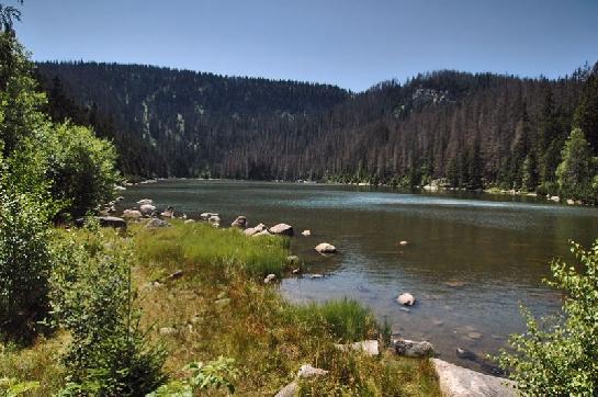 Plešné jezero