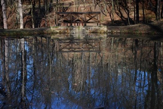 jezírko park Cibulka