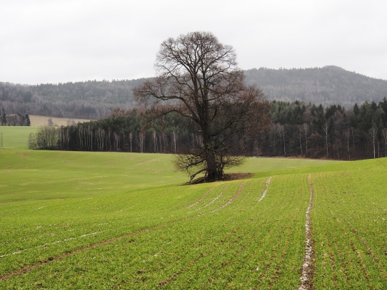 Krajina u Jablonného v Podještědí