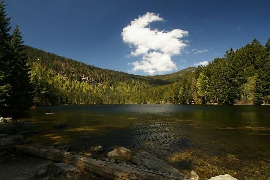 jezero Arbersee