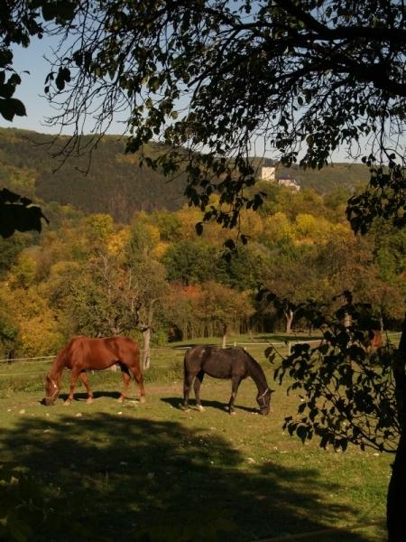 V pozadí hrad Karlštejn...