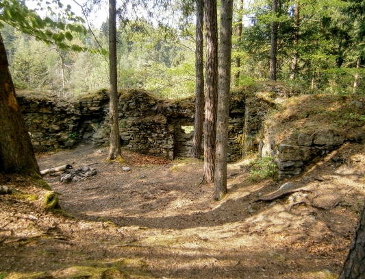 Zbytky hradu Sokolčí