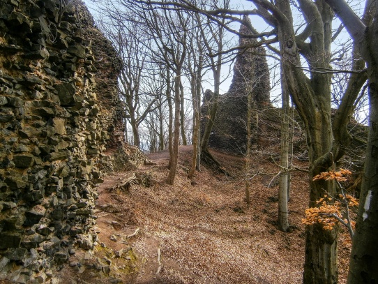 Zřícenina hradu Bradlec