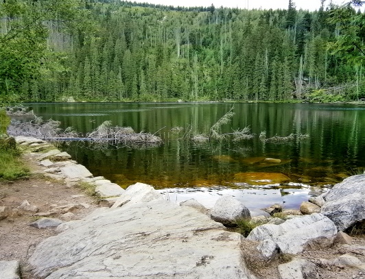 Poledník a Prášilské jezero