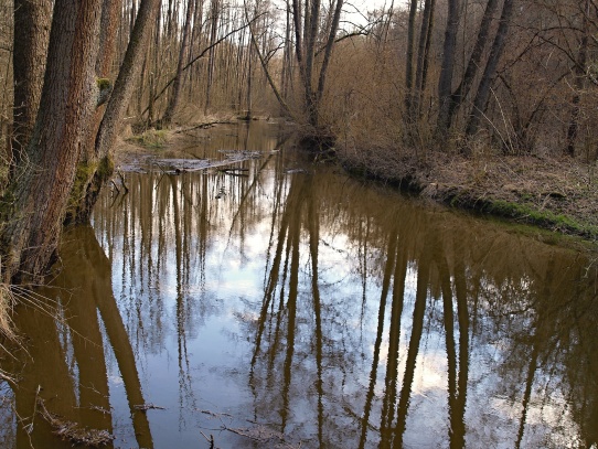 Údolí Robečského potoka u Zahrádek