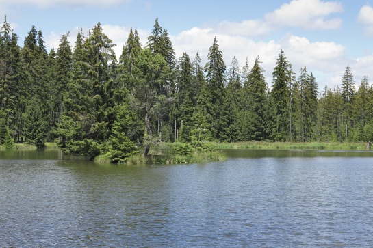 Národní přírodní rezervace Kladské rašeliny - Kladský rybník