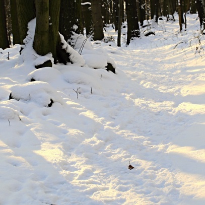 Zřícenina hradu Ostrý u Milešova