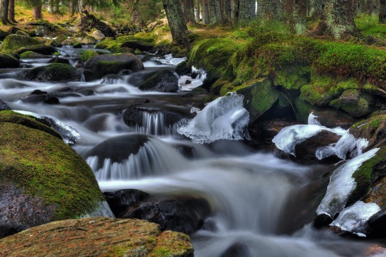 Šumava