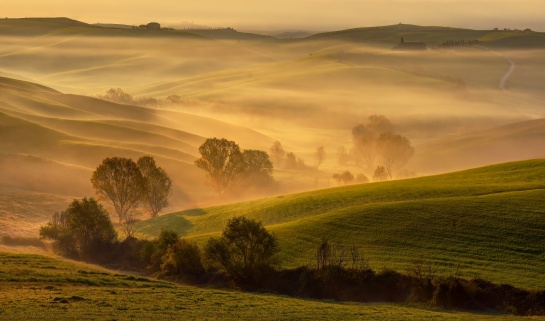 Mlahavé ráno v údolí Val d'Orcia