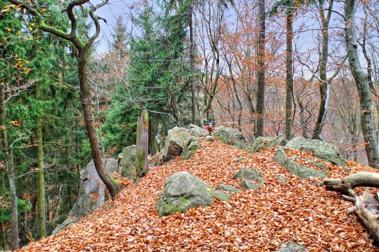 Zřícenina hrádku Šember