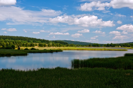 Brdy - Dolejší padrťský rybník