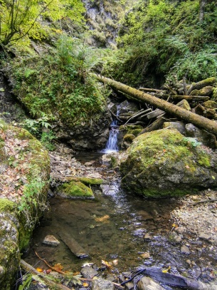 Veľký Sokol