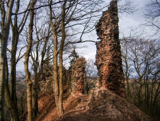 Zřícenina hradu Bradlec