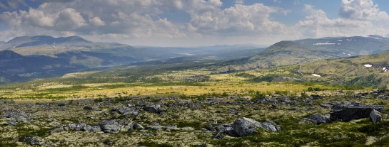 NORSKO - NP Rondane