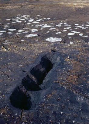 Bahenní sopka /mofet/