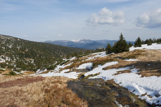 Panorama Krkonoš od pramene Labe