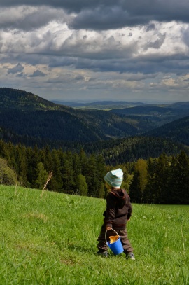 Na vyhlídce / Šumava 