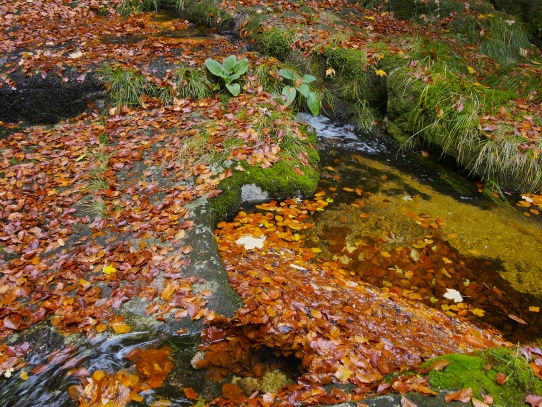 Vodopády Jedlové