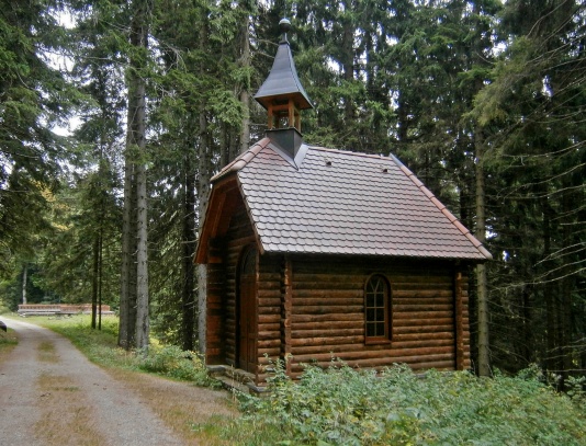 Pralesem na vrchol Boubína