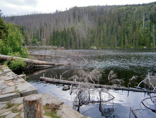 Poledník a Prášilské jezero