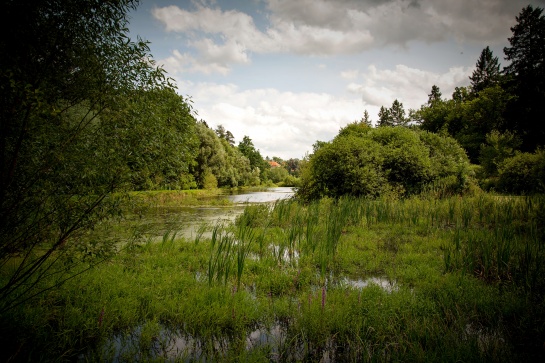 Horšovský Týn zámek a park