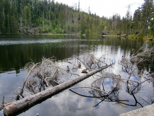 Poledník a Prášilské jezero