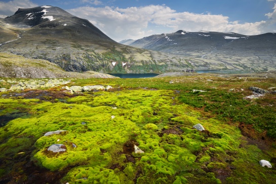 NORSKO - NP Rondane