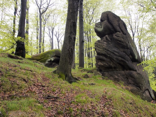 Oldřichovské háje a skály NS