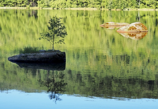 Oldřichovské háje a skály NS