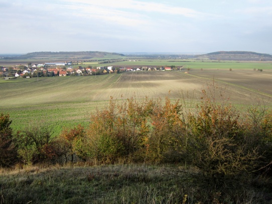 Zřícenina u Starého Vestce