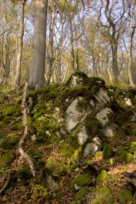 Podzim na Berounsku