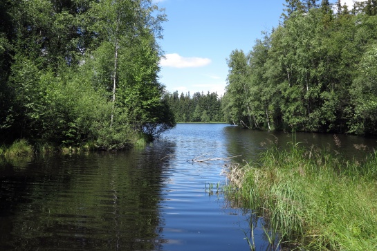 Slavkovský les - naučná stezka Kladská - Tajga