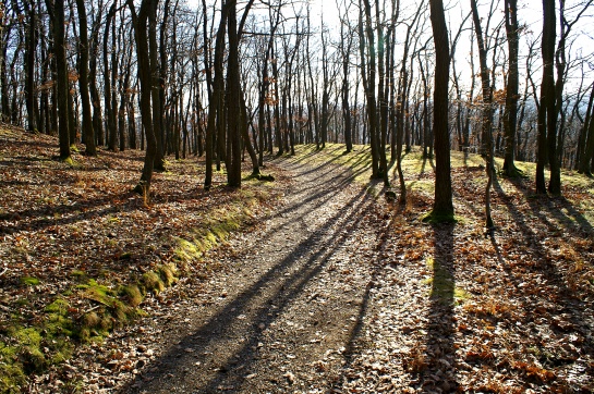 Oppidum Závist